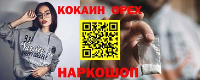 дмт Гай