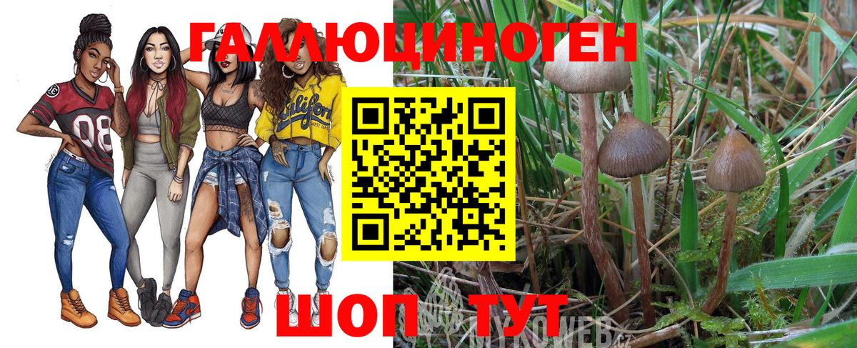 Галлюциногенные грибы Cubensis  Вход с VPN  Заволжье 